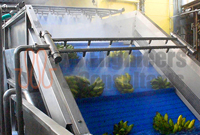 Fruits & Vegetable Pack House